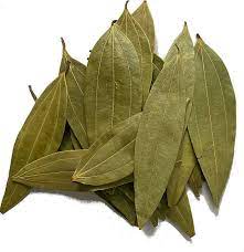 Common  Bay Leaf